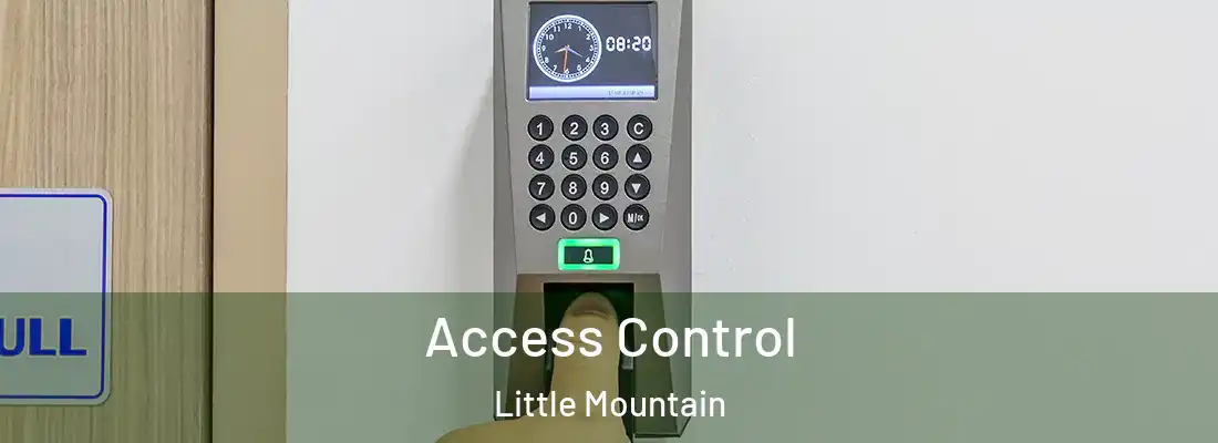 Access Control Little Mountain