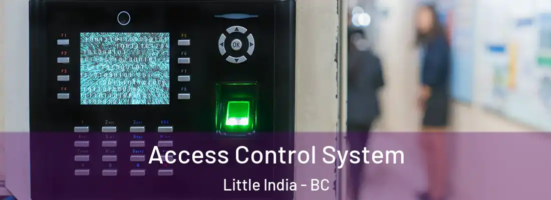  Access Control System Little India - BC