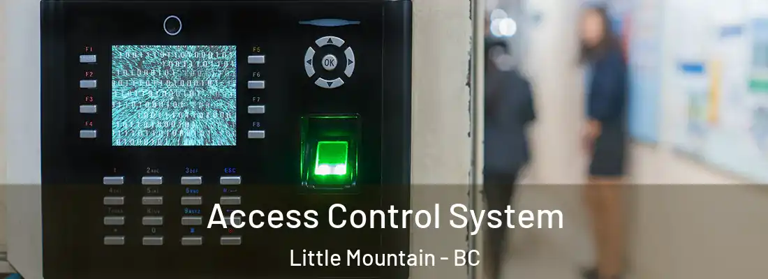  Access Control System Little Mountain - BC