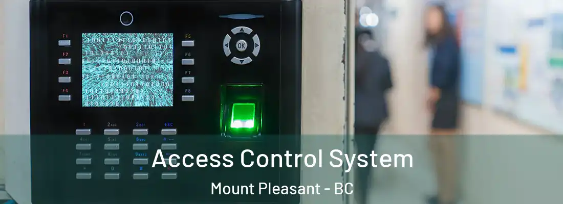  Access Control System Mount Pleasant - BC