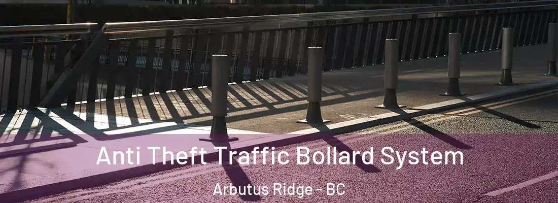  Anti Theft Traffic Bollard System Arbutus Ridge - BC