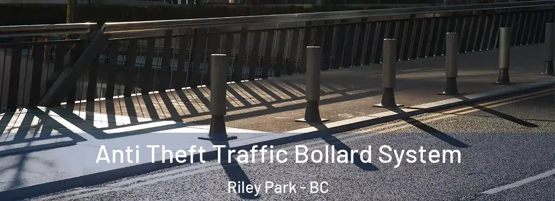  Anti Theft Traffic Bollard System Riley Park - BC