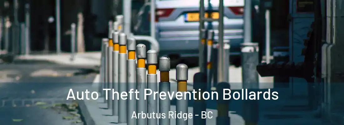  Auto Theft Prevention Bollards Arbutus Ridge - BC