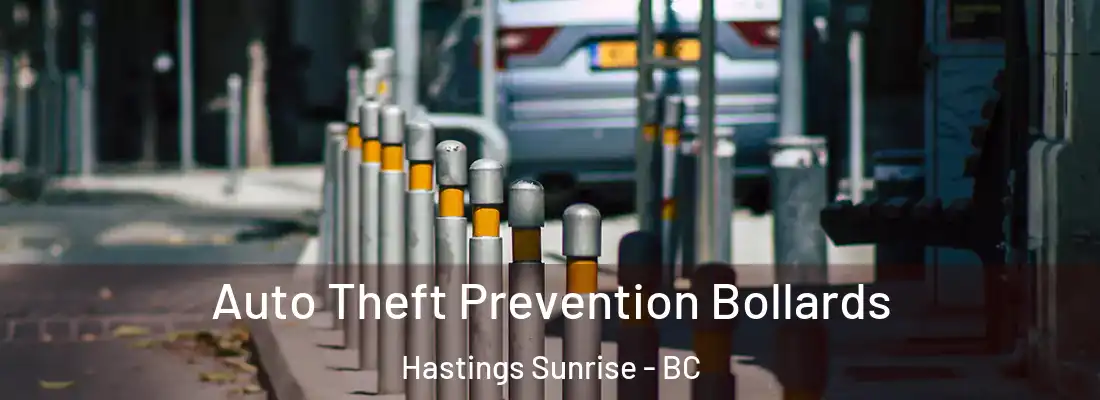  Auto Theft Prevention Bollards Hastings Sunrise - BC