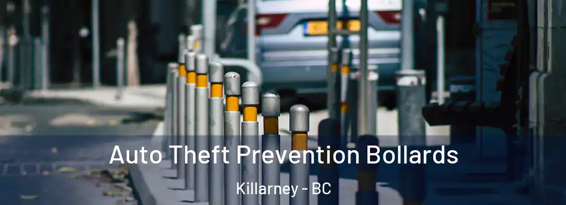  Auto Theft Prevention Bollards Killarney - BC