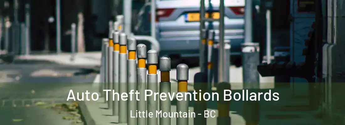  Auto Theft Prevention Bollards Little Mountain - BC
