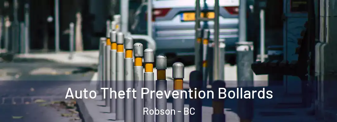  Auto Theft Prevention Bollards Robson - BC