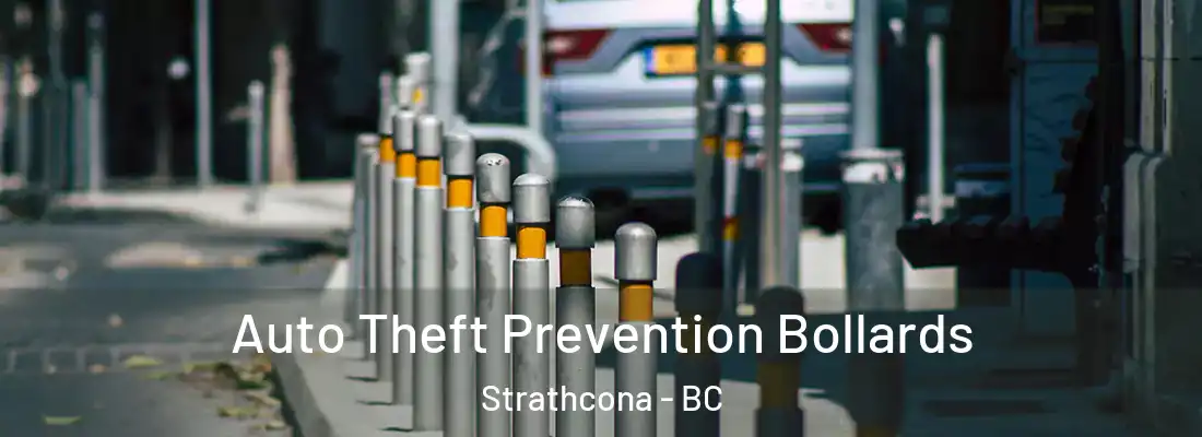  Auto Theft Prevention Bollards Strathcona - BC