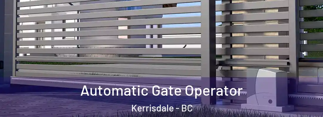  Automatic Gate Operator Kerrisdale - BC