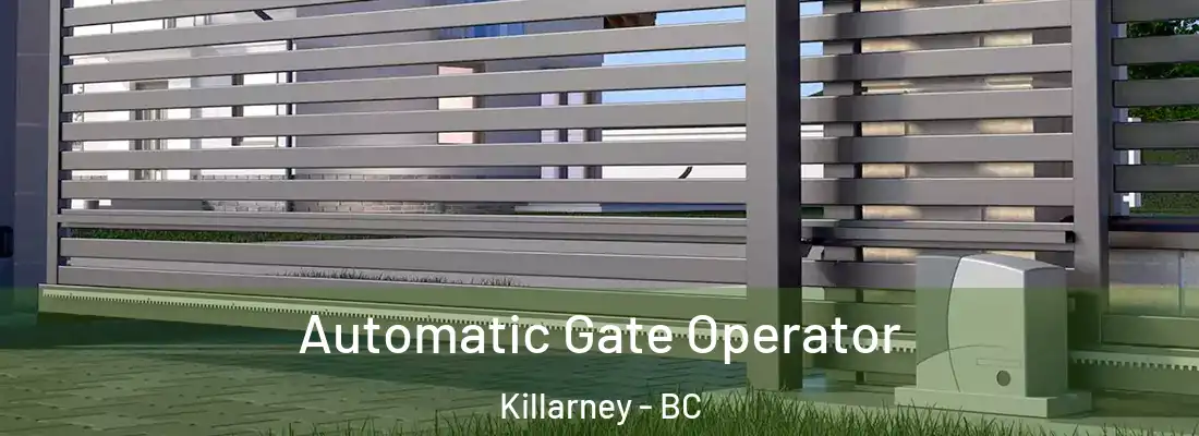  Automatic Gate Operator Killarney - BC