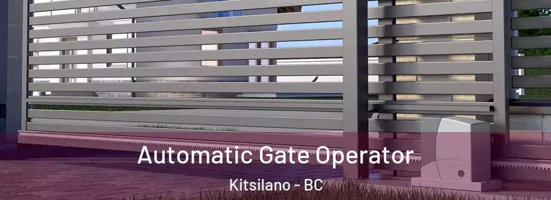  Automatic Gate Operator Kitsilano - BC