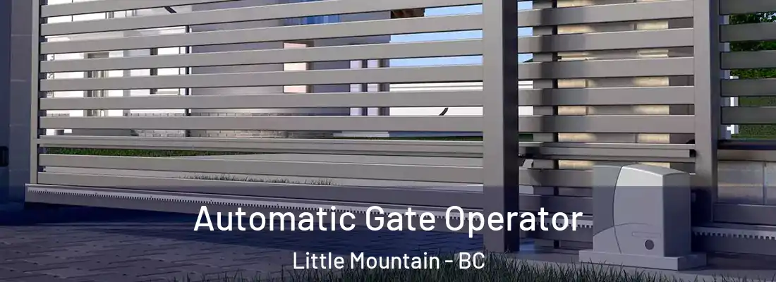  Automatic Gate Operator Little Mountain - BC