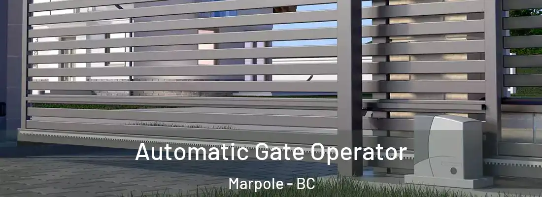  Automatic Gate Operator Marpole - BC