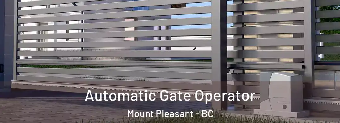  Automatic Gate Operator Mount Pleasant - BC