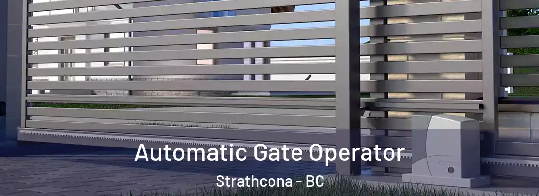  Automatic Gate Operator Strathcona - BC