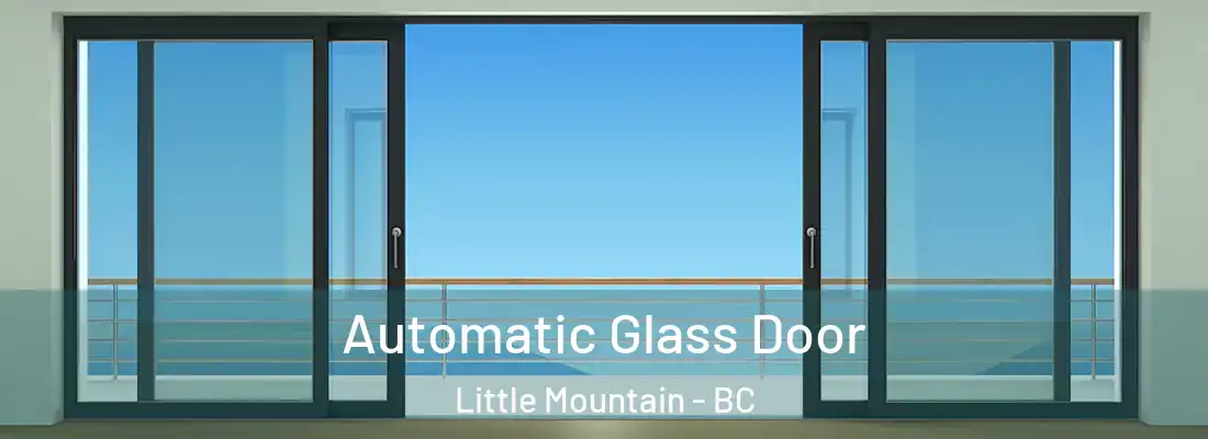  Automatic Glass Door Little Mountain - BC