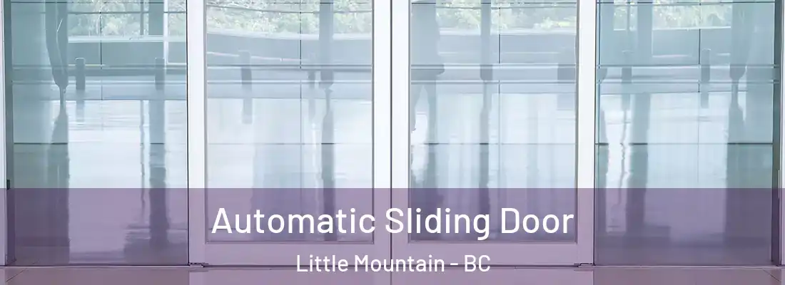  Automatic Sliding Door Little Mountain - BC