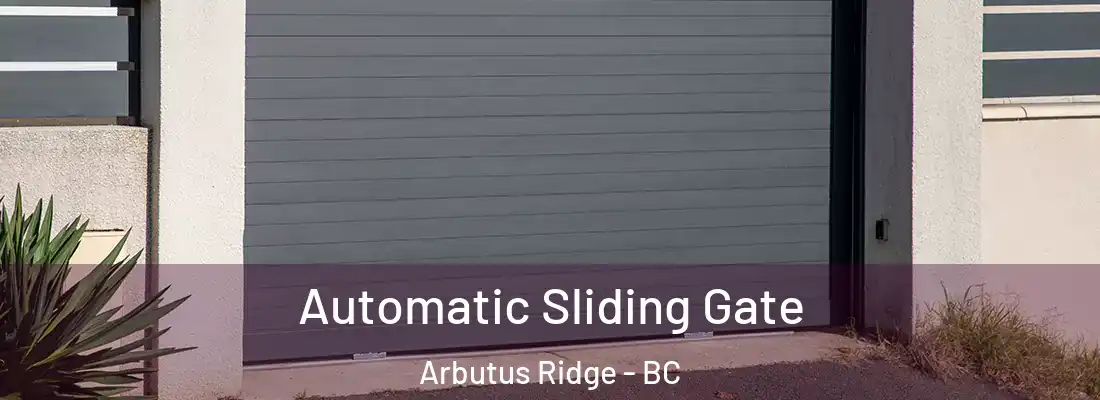  Automatic Sliding Gate Arbutus Ridge - BC