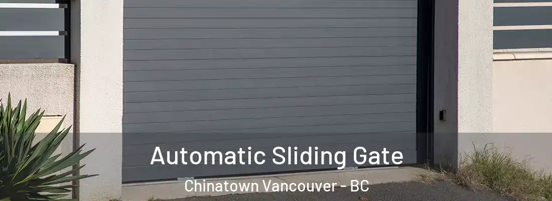  Automatic Sliding Gate Chinatown Vancouver - BC