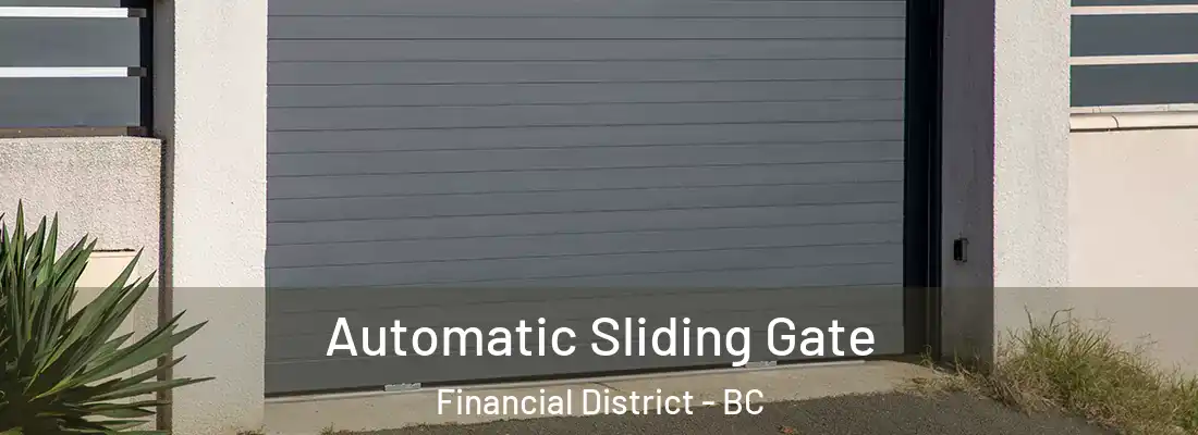  Automatic Sliding Gate Financial District - BC