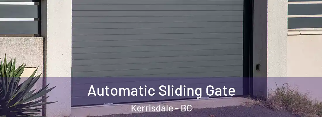  Automatic Sliding Gate Kerrisdale - BC
