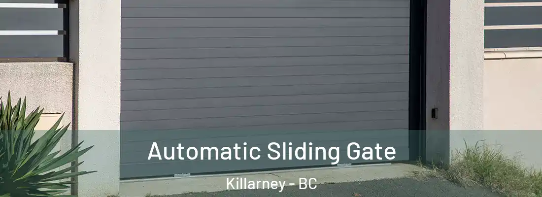  Automatic Sliding Gate Killarney - BC