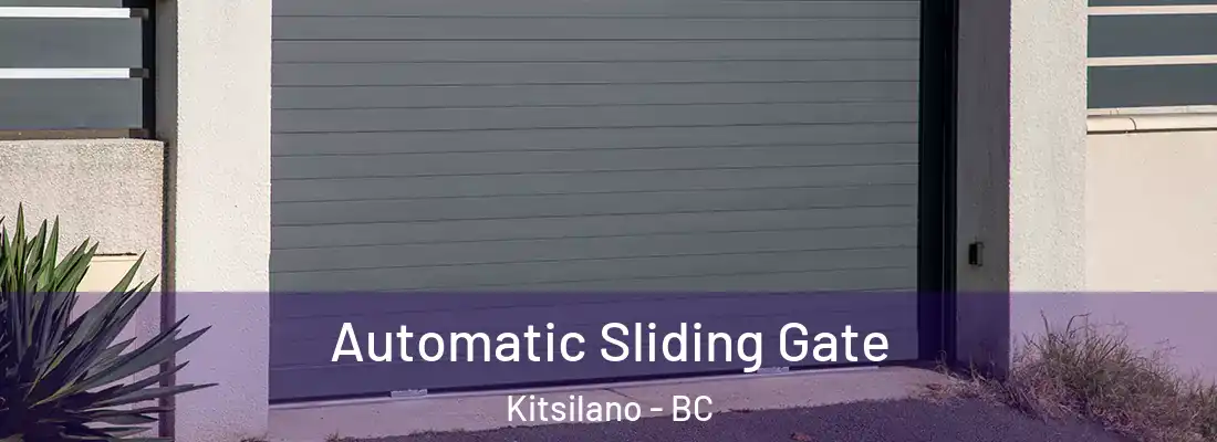  Automatic Sliding Gate Kitsilano - BC