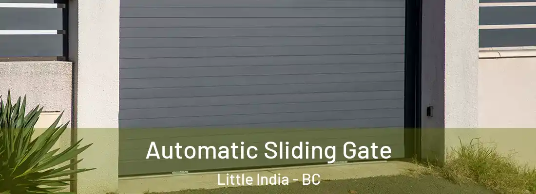  Automatic Sliding Gate Little India - BC