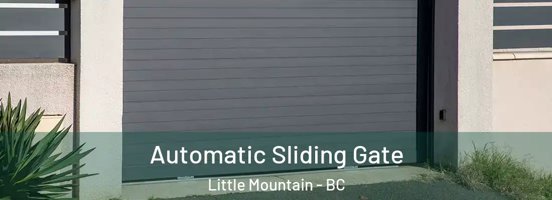  Automatic Sliding Gate Little Mountain - BC