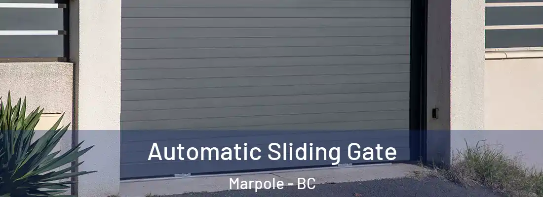  Automatic Sliding Gate Marpole - BC