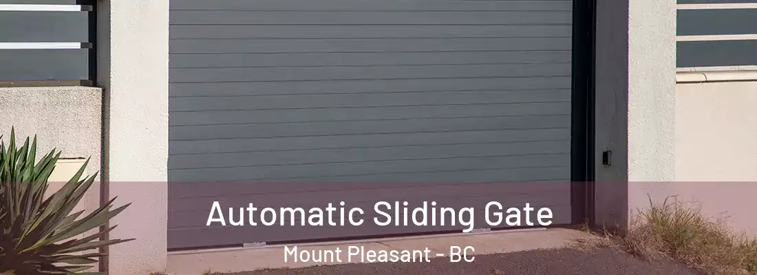  Automatic Sliding Gate Mount Pleasant - BC