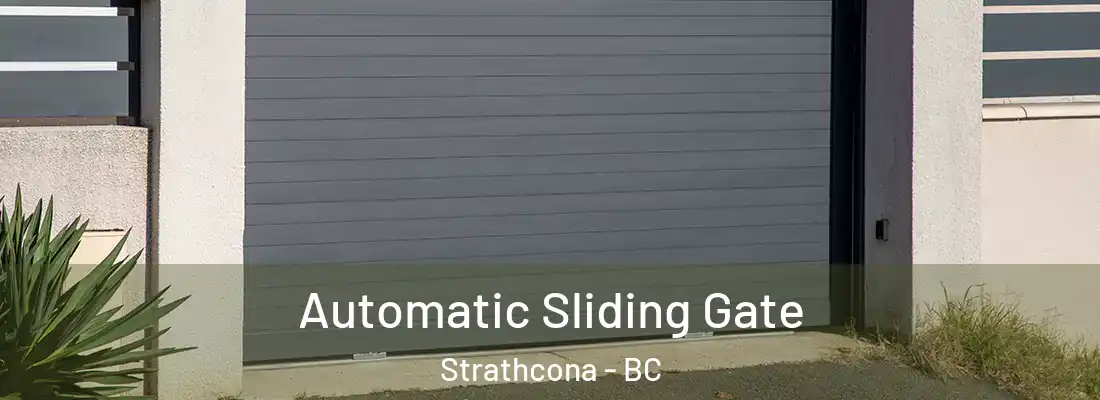  Automatic Sliding Gate Strathcona - BC