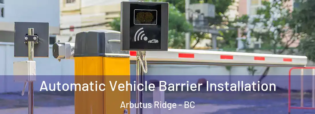  Automatic Vehicle Barrier Installation Arbutus Ridge - BC