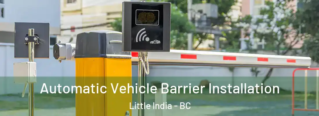  Automatic Vehicle Barrier Installation Little India - BC