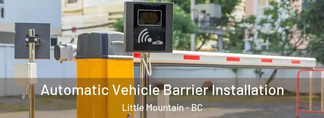 Automatic Vehicle Barrier Installation Little Mountain - BC