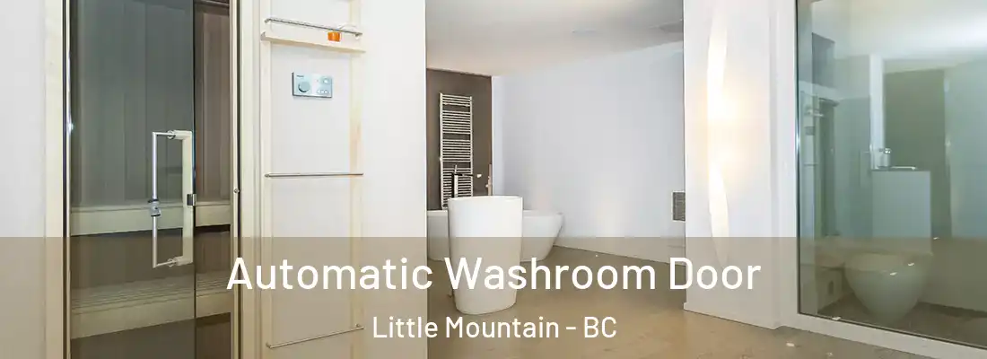  Automatic Washroom Door Little Mountain - BC