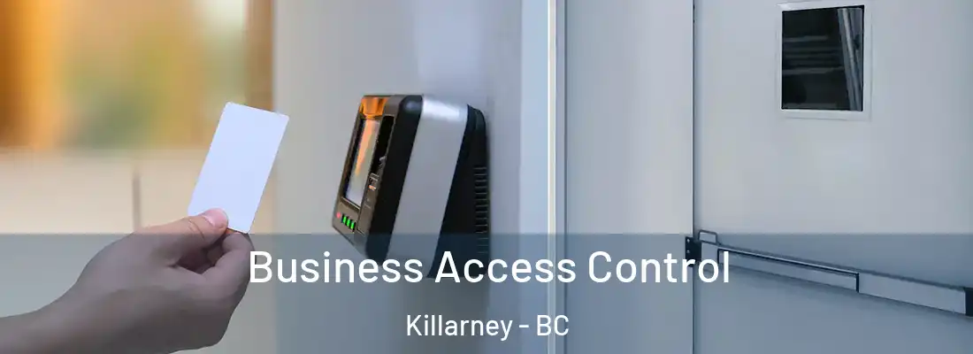  Business Access Control Killarney - BC