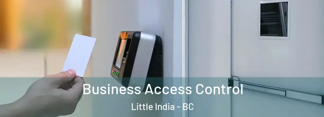  Business Access Control Little India - BC