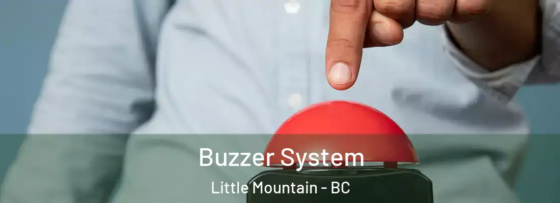  Buzzer System Little Mountain - BC