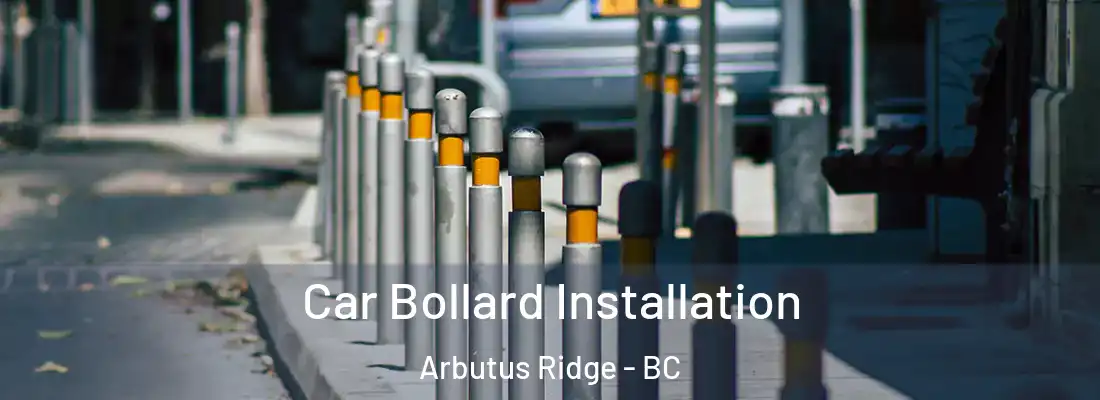  Car Bollard Installation Arbutus Ridge - BC