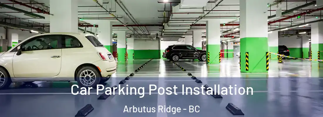  Car Parking Post Installation Arbutus Ridge - BC