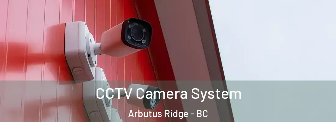  CCTV Camera System Arbutus Ridge - BC