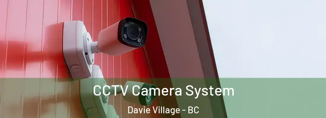  CCTV Camera System Davie Village - BC