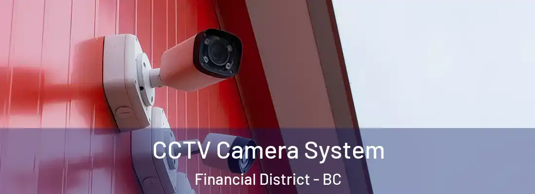  CCTV Camera System Financial District - BC