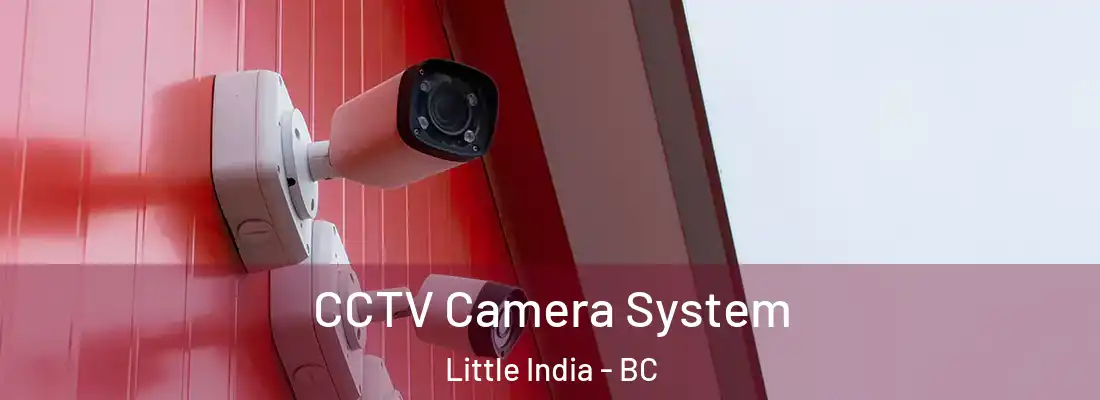  CCTV Camera System Little India - BC