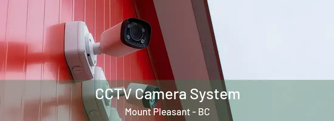  CCTV Camera System Mount Pleasant - BC