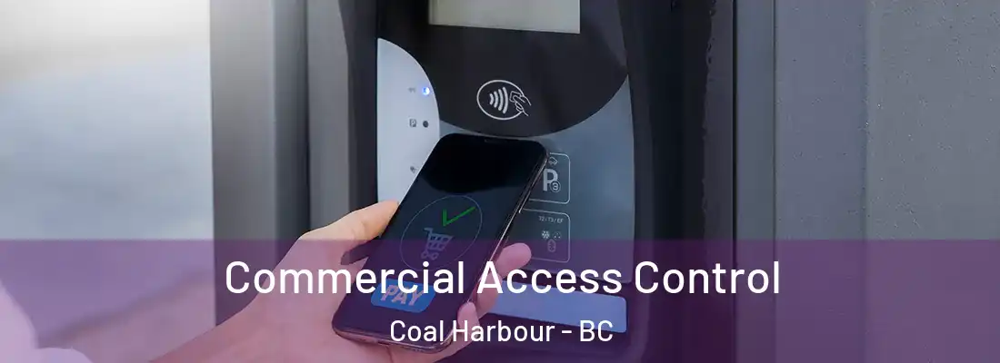  Commercial Access Control Coal Harbour - BC