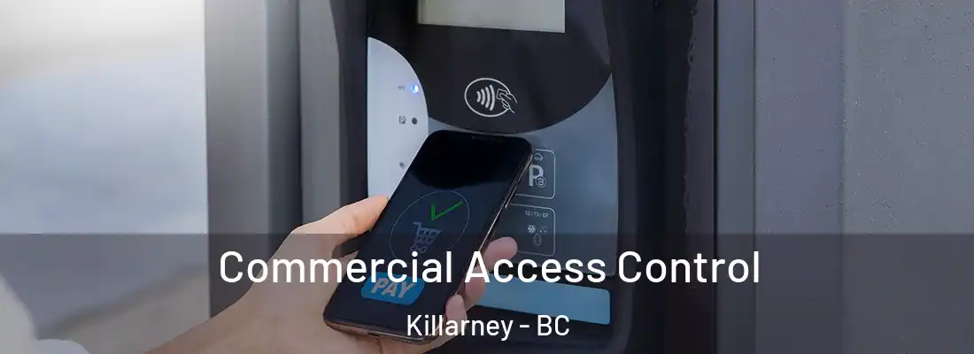  Commercial Access Control Killarney - BC