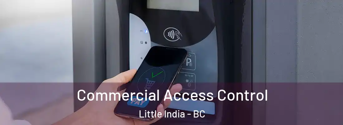  Commercial Access Control Little India - BC