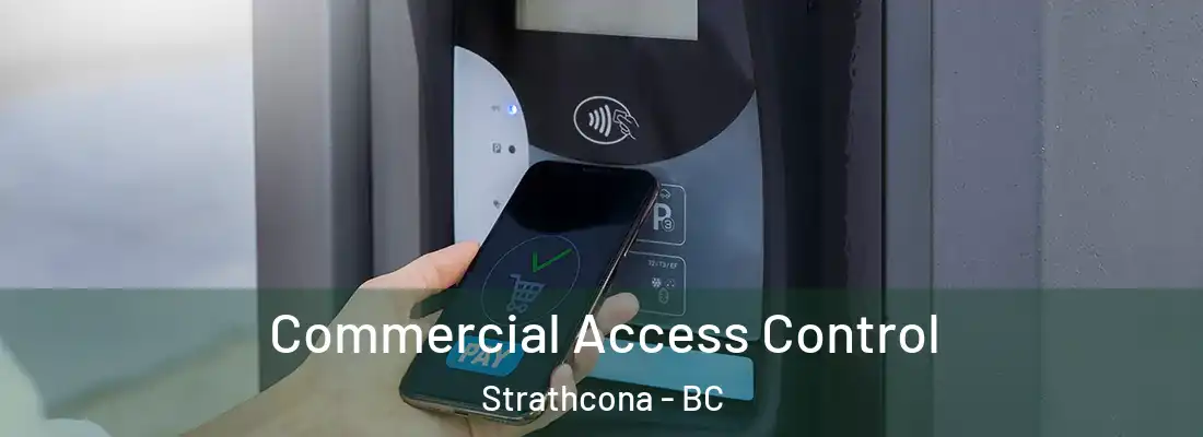 Commercial Access Control Strathcona - BC